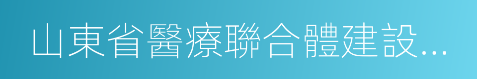 山東省醫療聯合體建設推進工作方案的同義詞