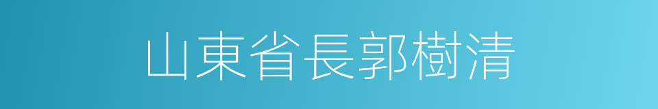 山東省長郭樹清的同義詞