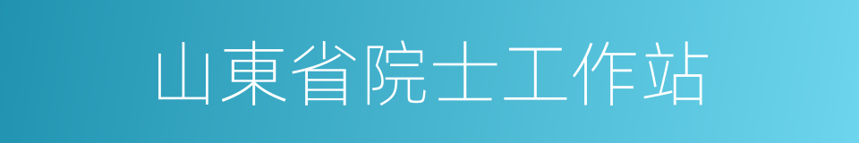 山東省院士工作站的同義詞