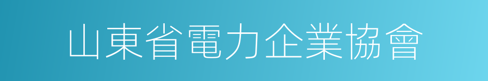 山東省電力企業協會的同義詞