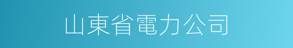 山東省電力公司的同義詞