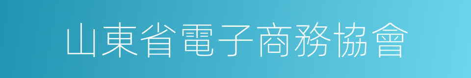 山東省電子商務協會的同義詞