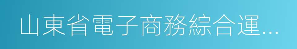 山東省電子商務綜合運營管理有限公司的同義詞