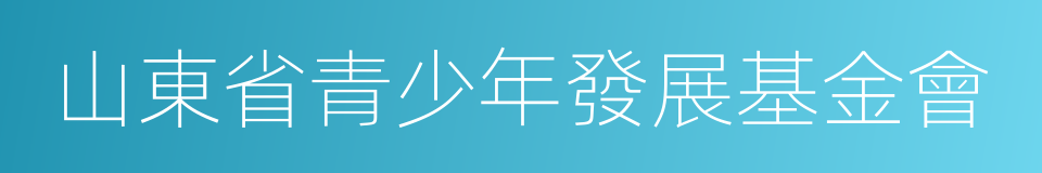 山東省青少年發展基金會的同義詞