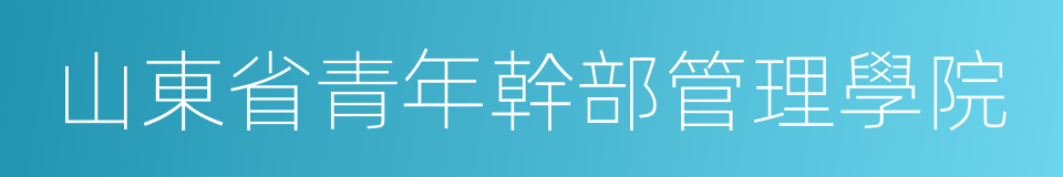 山東省青年幹部管理學院的同義詞