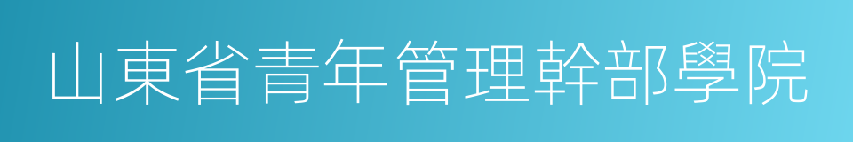 山東省青年管理幹部學院的同義詞