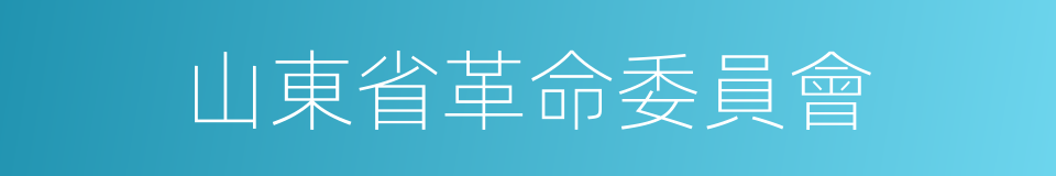 山東省革命委員會的同義詞