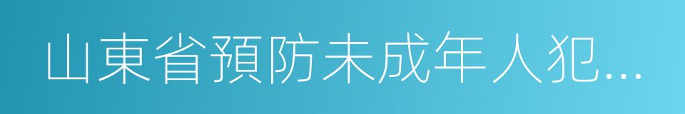 山東省預防未成年人犯罪條例的同義詞