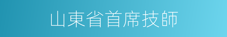 山東省首席技師的同義詞