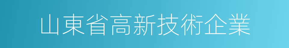 山東省高新技術企業的同義詞