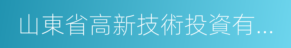 山東省高新技術投資有限公司的同義詞