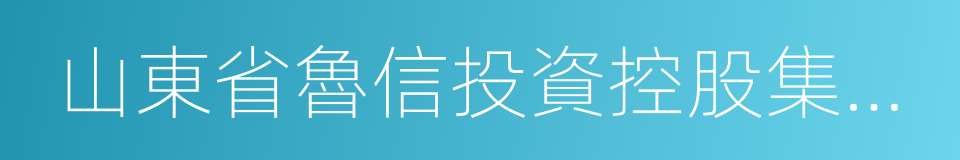 山東省魯信投資控股集團有限公司的同義詞