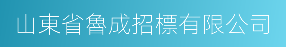 山東省魯成招標有限公司的同義詞