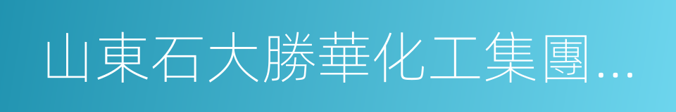 山東石大勝華化工集團股份有限公司的同義詞