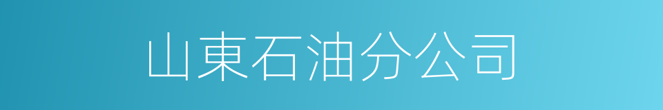 山東石油分公司的同義詞