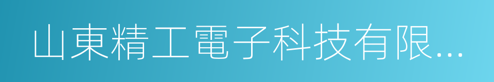 山東精工電子科技有限公司的同義詞