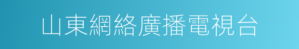 山東網絡廣播電視台的同義詞