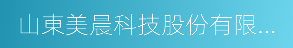 山東美晨科技股份有限公司的同義詞