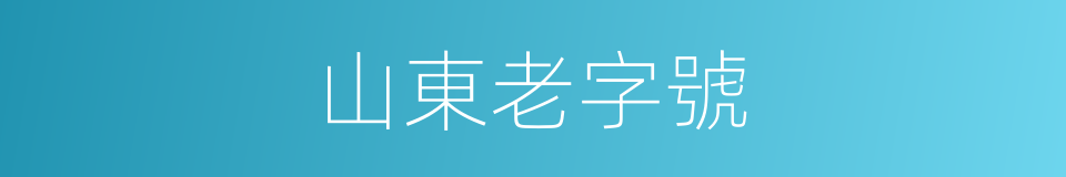 山東老字號的同義詞