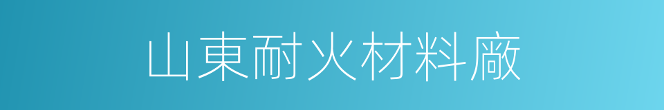 山東耐火材料廠的同義詞