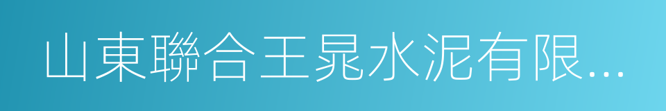 山東聯合王晁水泥有限公司的同義詞