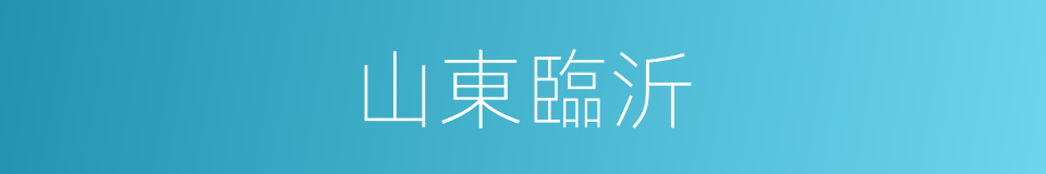 山東臨沂的同義詞