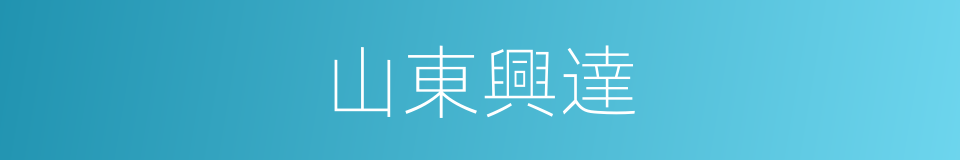 山東興達的同義詞