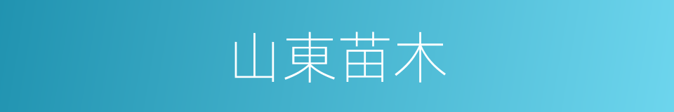 山東苗木的同義詞