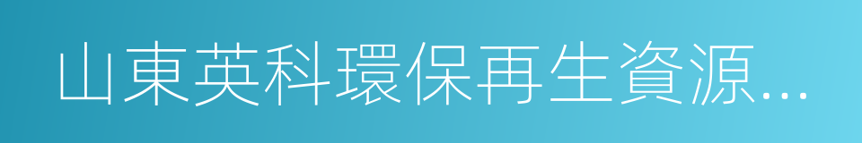 山東英科環保再生資源股份有限公司的同義詞