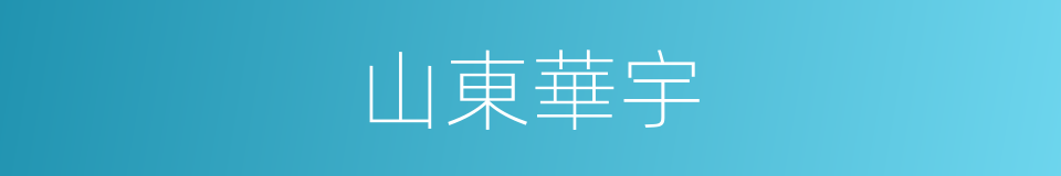山東華宇的同義詞