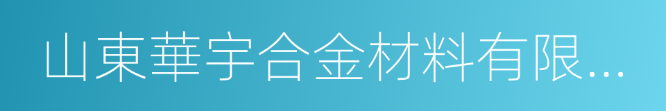 山東華宇合金材料有限公司的同義詞