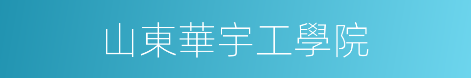 山東華宇工學院的同義詞
