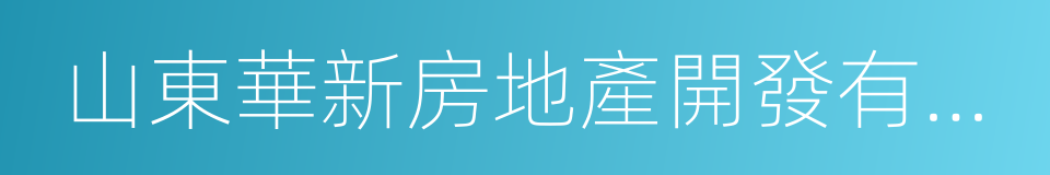 山東華新房地產開發有限公司的同義詞