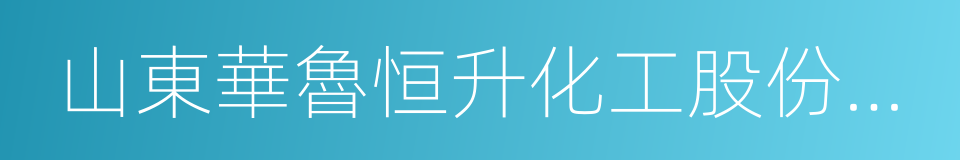 山東華魯恒升化工股份有限公司的同義詞