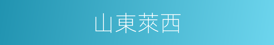 山東萊西的同義詞