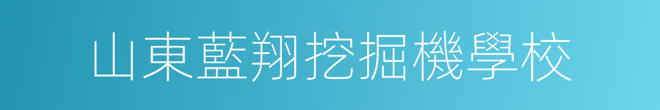 山東藍翔挖掘機學校的同義詞