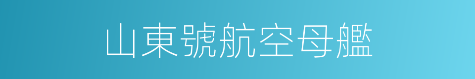 山東號航空母艦的同義詞