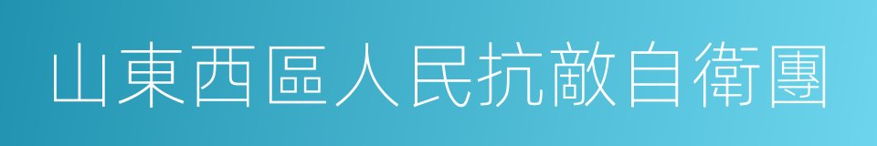 山東西區人民抗敵自衛團的同義詞