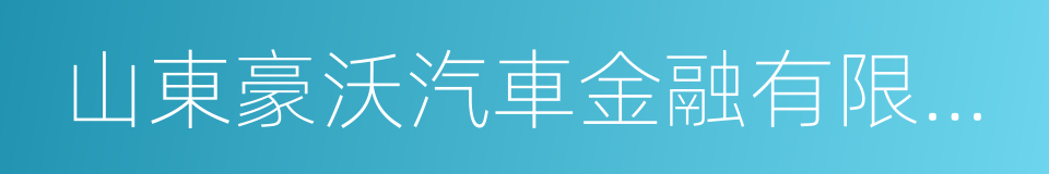 山東豪沃汽車金融有限公司的同義詞