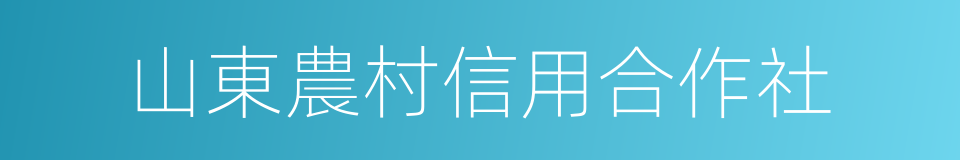 山東農村信用合作社的同義詞