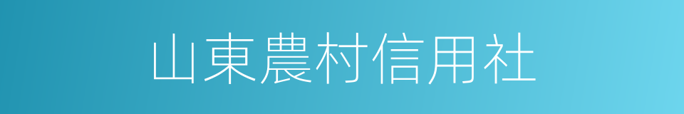 山東農村信用社的同義詞