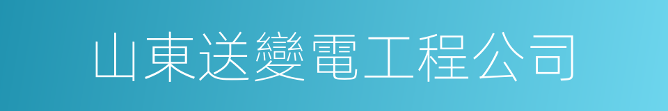 山東送變電工程公司的同義詞