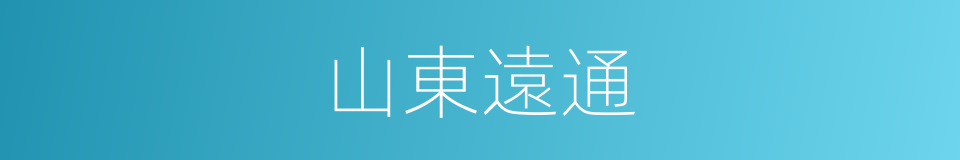 山東遠通的同義詞