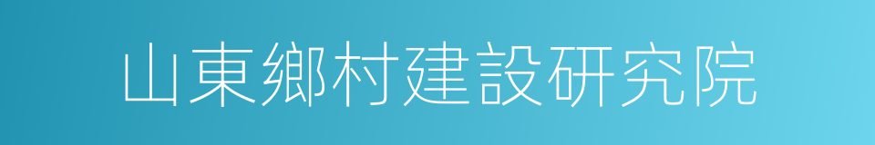 山東鄉村建設研究院的同義詞