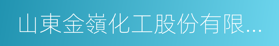 山東金嶺化工股份有限公司的同義詞