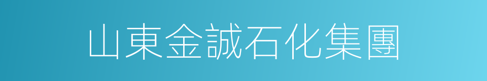 山東金誠石化集團的同義詞