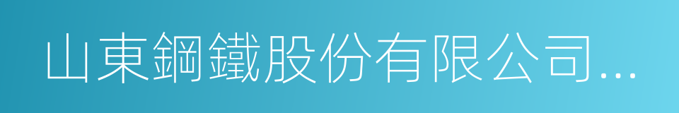 山東鋼鐵股份有限公司濟南分公司的同義詞