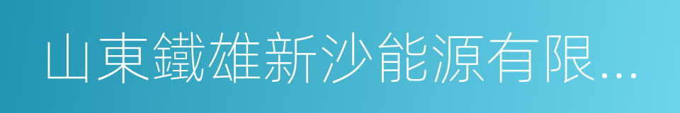 山東鐵雄新沙能源有限公司的同義詞