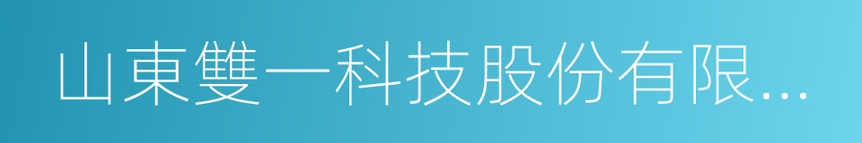 山東雙一科技股份有限公司的同義詞