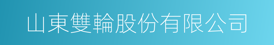 山東雙輪股份有限公司的同義詞